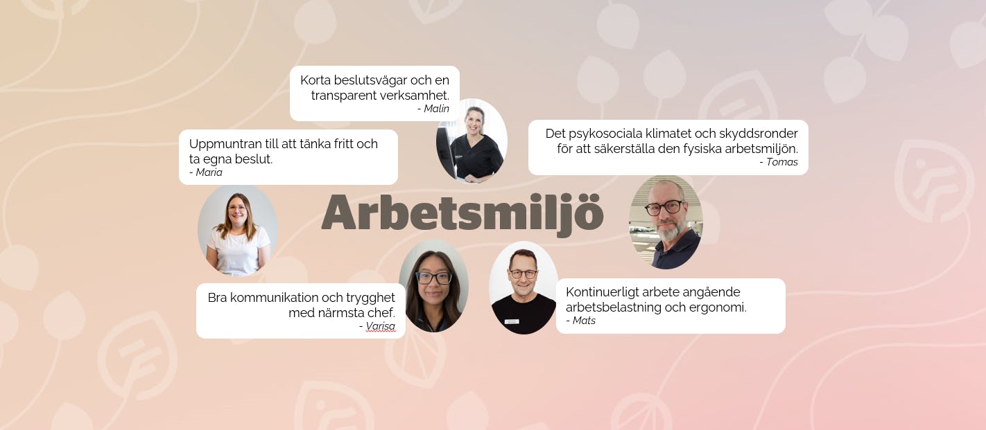 Den goda arbetsmiljön